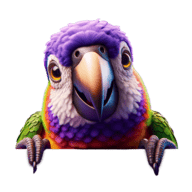 Parrot